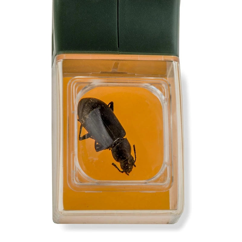 BugView™ – Handheld Insect Catcher with Built-in Magnifier